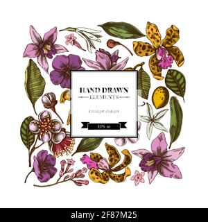 Disegno floreale quadrato con laelia colorata, fiori di feijoa, cespuglio di gloria, papilio torquatus, cinchona, cattleya aclandiae Illustrazione Vettoriale