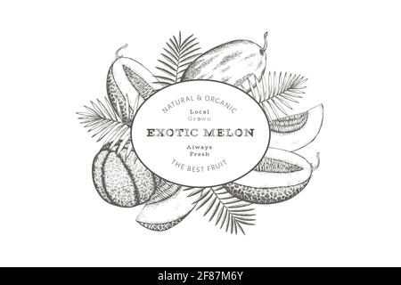 Meloni con foglie tropicali modello di disegno. Illustrazione della frutta esotica del vettore disegnata a mano. Banner di frutta in stile retrò. Foto Stock