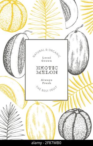 Meloni con foglie tropicali modello di disegno. Illustrazione della frutta esotica del vettore disegnata a mano. Banner di frutta in stile retrò. Foto Stock