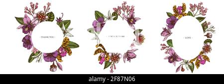 Cornici floreali con laelia colorata, fiori di feijoa, cespuglio di gloria, papilio torquatus, cinchona, cattleya aclandiae Illustrazione Vettoriale