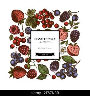 Disegno quadrato con fragola colorata, mirtillo, ribes rosso, lampone, mora Illustrazione Vettoriale