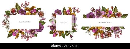 Cornici floreali con laelia colorata, fiori di feijoa, cespuglio di gloria, papilio torquatus, cinchona, cattleya aclandiae Illustrazione Vettoriale