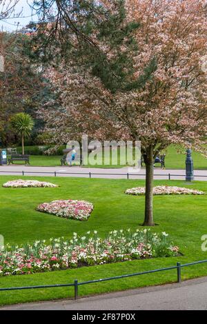 Bournemouth, Dorset UK. 12 aprile 2021. Regno Unito tempo: Freddo a Bournemouth - donna siede su panchina con fiori colorati e alberi in Bournemouth Gardens. Credit: Carolyn Jenkins/Alamy Live News Foto Stock