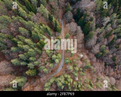 Vista aerea del Monte Pirin nella regione di Popina Laka vicino alla città di Sandanski, Bulgaria Foto Stock