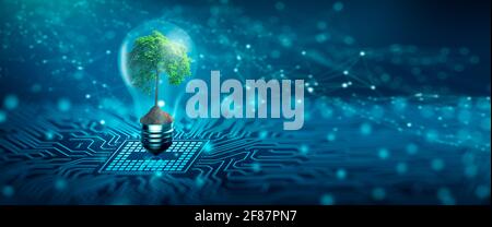 Albero con suolo che cresce su lampadina. Convergenza digitale e convergenza tecnologica. Luce blu e sfondo di rete. Green Computing, Green T. Foto Stock