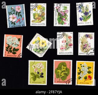 URSS circa 1980: Set di vecchi francobolli dai tempi del . Timbro isolato su sfondo nero. Francobolli botanici. Fiori, piante, botanica, natura, foglie d'albero. Foto Stock
