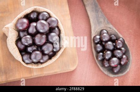 Bacche acai fresche - Euterpe oleracea Foto Stock