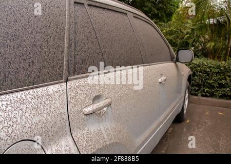 St. James, Barbados - Aprile 11 2021: Un veicolo grigio SUV in Barbados rivestito di cenere vulcanica da San Vincenzo e il vulcano soufriere di Grenadine. Foto Stock