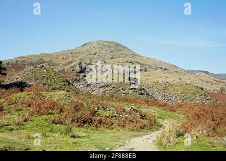 Il vecchio uomo di Coniston visto da cava rovina cumuli Vicino alle rive del Torver Beck Coniston il Distretto dei Laghi Cumbria Inghilterra Foto Stock