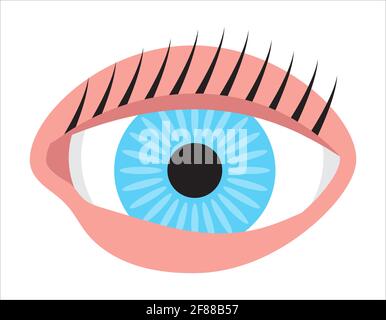 Occhio umano, congiuntivite, pinkeye vettore di icona piatta. Segno di vista dell'oftalmologo medico. Semplice simbolo di organo umano. Occhio ottico. Illustrazione Vettoriale