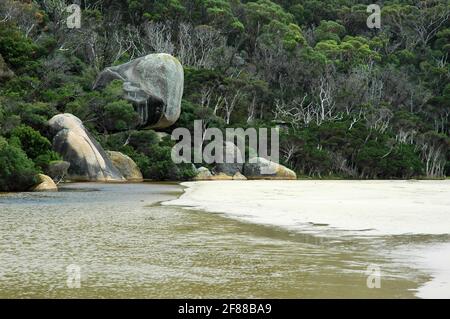 Whale Rock sopra il fiume che scorre su Norman Beach, Tidal River, Wilsons Promontory National Park, spesso noto come Prom, South Gippsland, Vic Foto Stock