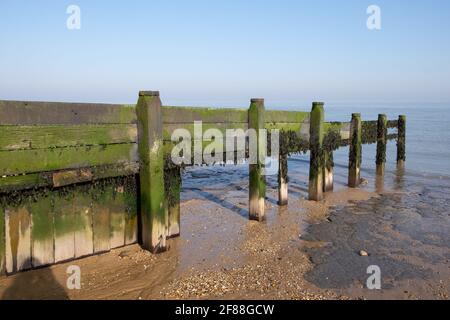 Breache, rotte difese del mare Walton sul naze, tendring, Essex Inghilterra Foto Stock