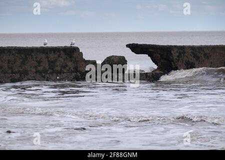 Difese di mare infrante, Walton sul naze, tendring, Essex Inghilterra Foto Stock