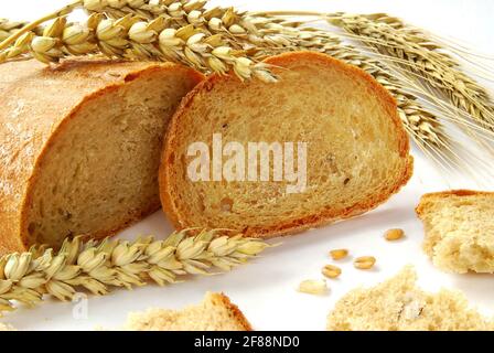 Pane di pasta con cumino in dettaglio con cereali, cereali, mais, grano - su fondo bianco. Panificio tradizionale fresco. Foto Stock