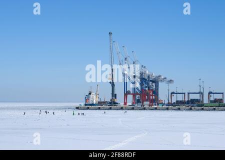 LOMONOSOV, RUSSIA - MARZO 05, 2018: vista del cargo multifunzionale porta "Bronka' su una soleggiata giornata di marzo Foto Stock