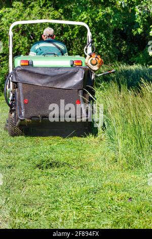 Un giardiniere taglia erba verde alta e la raccoglie nella tramoggia di un rasaerba professionale. Lo sfondo è leggermente sfocato. Foto Stock