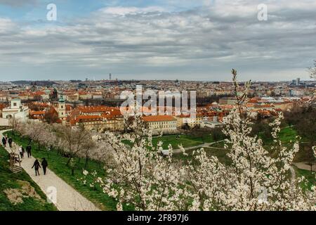 Vista panoramica aerea di Praga, repubblica Ceca in primavera. Fioritura dei ciliegi sakura sulla collina di Petrin. Persone che camminano in città Park.Red tetti, torre TV, Foto Stock