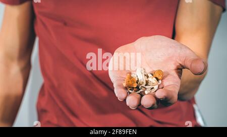 Funghi magici per il microdosaggio tenuto in mano dell'uomo. Terapia psichedelica della psilocibina. Foto Stock