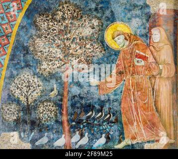 Assisi, Umbria, Italia. Affresco di San Francesco d'Assisi che predica agli uccelli fuori Bevagna, nella Basilica di San Francesco d'Assisi. (Per e Foto Stock