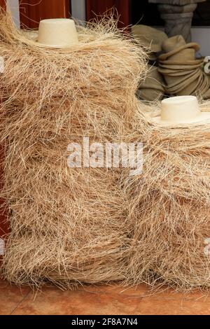 Pile alte di cappelli infiniti di paglia di Panama a Cuenca Ecuador, Sud America Foto Stock