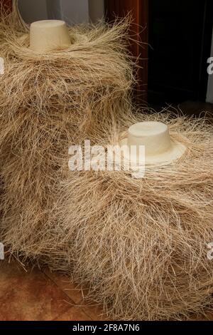 Pile di cappelli incompleti di paglia di Panama a Cuenca Ecuador, Sud America Foto Stock