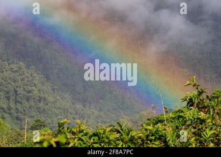 Splendido arcobaleno colorato con Green Foliage e Blue Sky e. Nuvole o nebbia sulla foresta pluviale di Mindo Ecuador Foto Stock