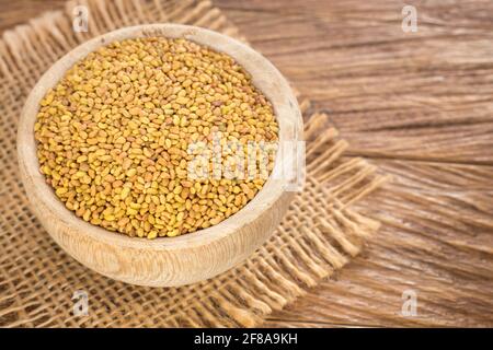 Medicago sativa - semi biologici di erba medica nella ciotola di legno Foto Stock