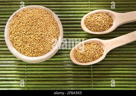 Semi organici di erba medica nella ciotola di legno - Medicago sativa Foto Stock