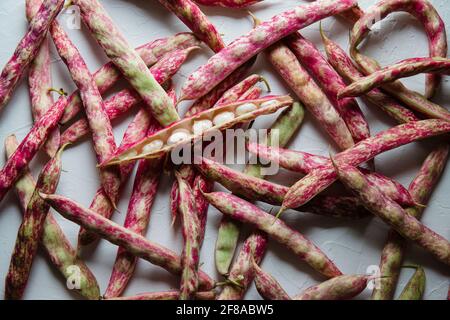 Mucchio di colorati fagioli borlotti di mirtillo rosso con una divisa Apri Foto Stock