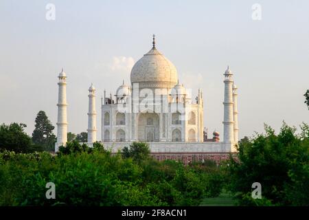 Taj Mahal al crepuscolo dall'altra parte del fiume incorniciato da alberi ad Agra, India Foto Stock