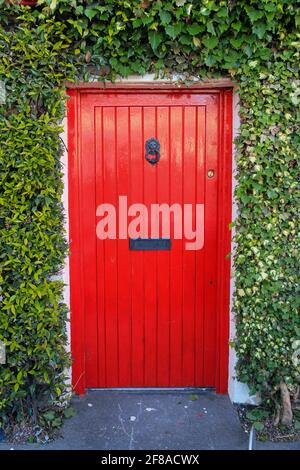 Porta Rossa luminosa circondata da Green Ivy in Irlanda Foto Stock