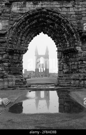 Rovine della cattedrale di St. Andrew Scozia riflesse in acqua con nebbia Foto Stock