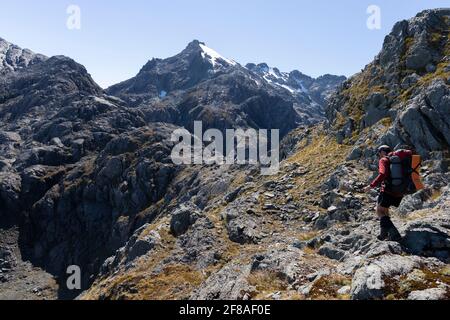 Escursionista nelle Alpi del Sud, Nuova Zelanda Foto Stock