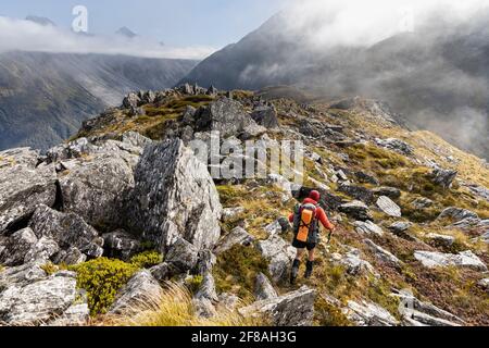 Uomo trekking rideline roccioso in Nuova Zelanda Foto Stock