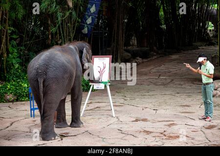 Un elefante che esegue un disegno al famoso Safari World Park di Bangkok. Foto Stock