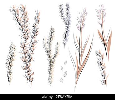 Set di schizzi di contorni di campi di erba. Fiori di steppa e spine. Disegno a mano libera di ramoscelli con petali e foglie. Arte naturale vettoriale per le carte Illustrazione Vettoriale