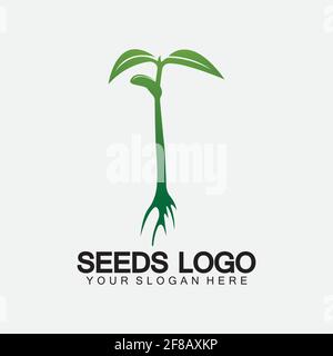Modello di concetto di logo di semi di piante Vector.growing logo di semi.vettore di crescita di semi modello di disegno dell'illustrazione del logo Illustrazione Vettoriale