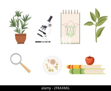 Schema senza soluzione di continuità Biologia corsi di scienza online concetto di istruzione o scuola illustrazione vettoriale della lezione su sfondo bianco Illustrazione Vettoriale
