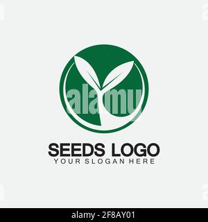 Modello di concetto di logo di semi di piante Vector.growing logo di semi.vettore di crescita di semi modello di disegno dell'illustrazione del logo Illustrazione Vettoriale