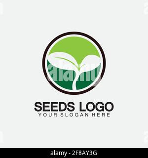 Modello di concetto di logo di semi di piante Vector.growing logo di semi.vettore di crescita di semi modello di disegno dell'illustrazione del logo Illustrazione Vettoriale
