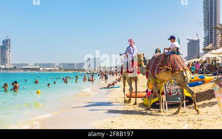 Dubai, Emirati Arabi Uniti - 04 marzo 2021: Cammelli che si laminano vacanzieri sulla spiaggia di Dubai Marina Foto Stock