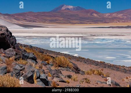 Alues Calientes Saline Flats alto sull'altiplano nel deserto di Atacama nella regione di Antofagasta del Cile settentrionale. Le aree bianche sono depositi di sa Foto Stock