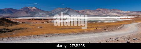 Alues Calientes Saline Flats alto sull'altiplano nel deserto di Atacama nella regione di Antofagasta del Cile settentrionale. Le aree bianche sono depositi di sa Foto Stock