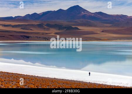 Tuyajto Salt Flats e Laguna, in alto sull'altiplano nel deserto di Atacama nella regione di Antofagasta del Cile settentrionale, Sud America. Foto Stock