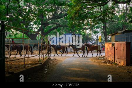 MUMBAI, INDIA - 29 dicembre 2021: Gruppo di fantini e cavalli da corsa che camminano in linea all'ippodromo Mahalakshmi di Mumbai. Foto Stock