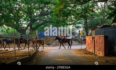 MUMBAI, INDIA - 29 dicembre 2021: Gruppo di fantini e cavalli da corsa che camminano in linea all'ippodromo Mahalakshmi di Mumbai. Foto Stock