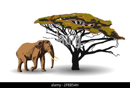 TENDENZA ETNICA. PITTURA IN STILE AFRICANO. Elefante nella savana. Animale africano isolato su sfondo bianco. Illustrazione vettoriale. Illustrazione Vettoriale