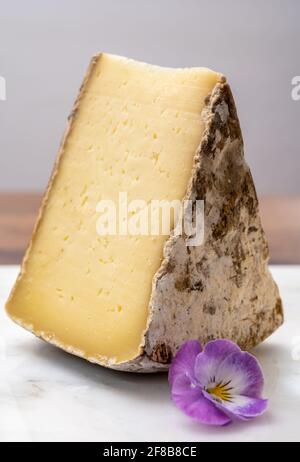 Collezione di formaggi, Tomo de Savoie della regione Savoia nelle Alpi francesi, latte di vacca dolce con interno beige e spessa cotenna bruno-grigio c Foto Stock