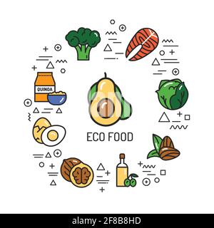 Banner Web Eco food. Infografiche con icone lineari su sfondo bianco. Concetto di idea creativa. Illustrazione del colore del contorno isolato. Illustrazione Vettoriale