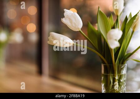 Vaso con fiori bianchi su grande sfondo finestre con tavolo in legno. Concetto di intimità domestica. Bouquet di tulipani in vaso di vetro Foto Stock